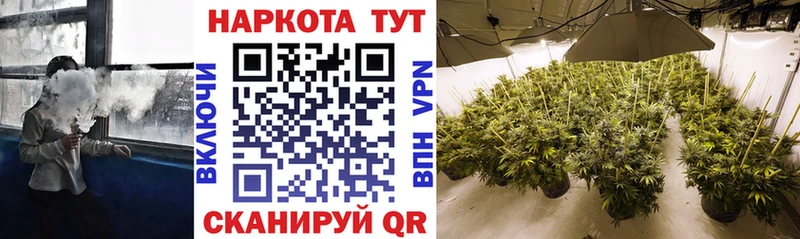 Магазин наркотиков Зеленодольск ЭКСТАЗИ  Меф мяу мяу  Канабис  APVP 