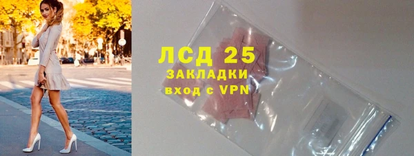 ПСИЛОЦИБИНОВЫЕ ГРИБЫ Заволжье
