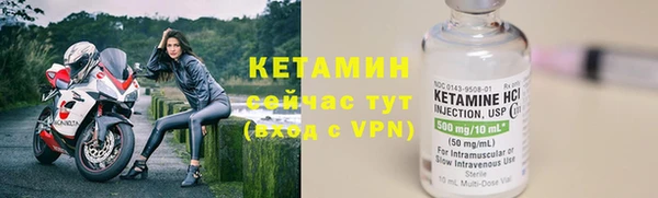 ПСИЛОЦИБИНОВЫЕ ГРИБЫ Заволжье