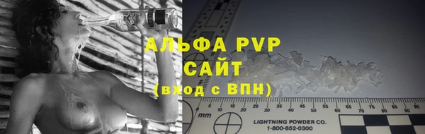 ПСИЛОЦИБИНОВЫЕ ГРИБЫ Заволжье