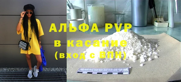 ПСИЛОЦИБИНОВЫЕ ГРИБЫ Заволжье