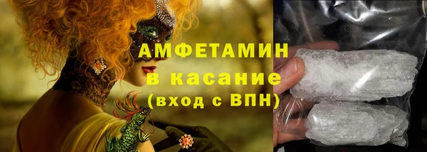 ПСИЛОЦИБИНОВЫЕ ГРИБЫ Заволжье