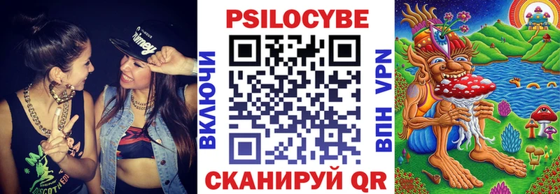 Псилоцибиновые грибы Psilocybe Зеленодольск